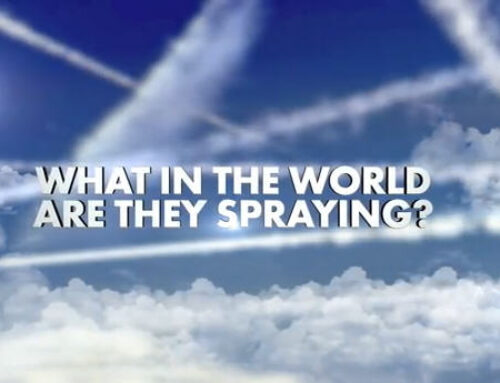 What in the world are they spraying?